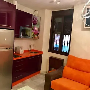 Salotur Don Pedro Apartment Seville